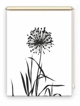 Rollo Allium 24 blanco schwarz, Rollo, Motivrollo, Rollo mit Druck, Fotorollo, bedrucktes Rollo, Fensterrollo,verdunkelndes Rollo, Sonnenschutz Rollo